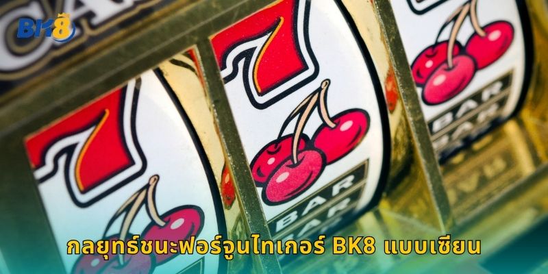 กลยุทธ์ชนะฟอร์จูนไทเกอร์ Bk8 แบบเซียน